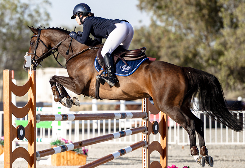 Event image: Training Show