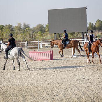 ADULT GROUP LESSONS PREPAID CARD